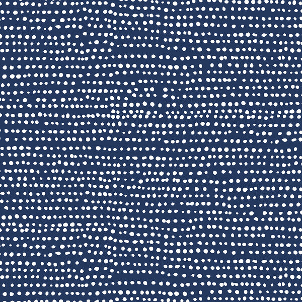 Moonscape in Peacoat