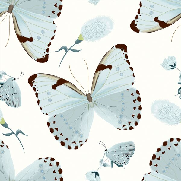 Large Forest Butterflies in Cream