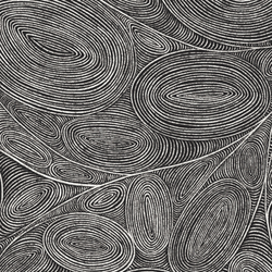 Ovals and Echoes in Black