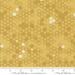 Honeycomb in Honey