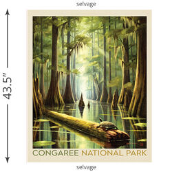 Congaree Poster Panel (2026)