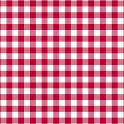 Gingham in Winter Rose