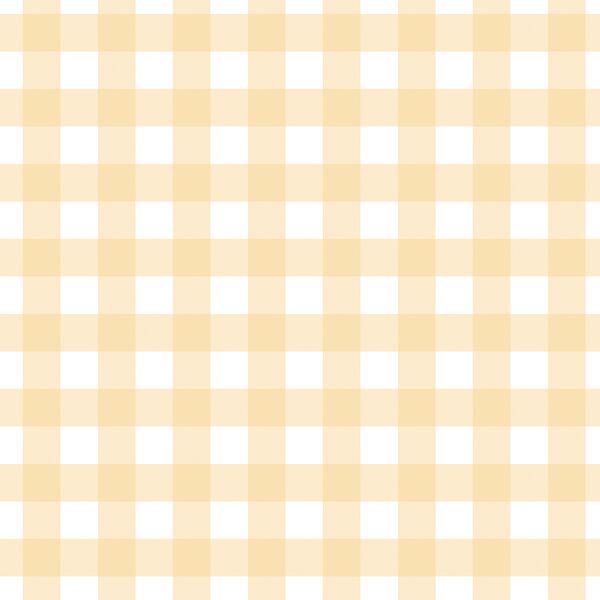 Gingham in Sunbeam