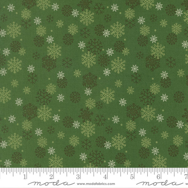 Snow Flurry in Evergreen