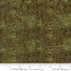 Moss in Grass