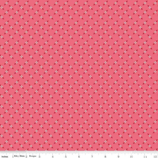 Genoveffa in Tea Rose