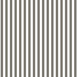 Dress Stripe in Greige