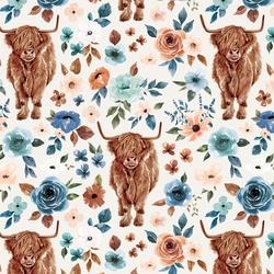 Highland Cow in Royal Ivory