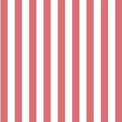 Candy Stripe in Dahlia