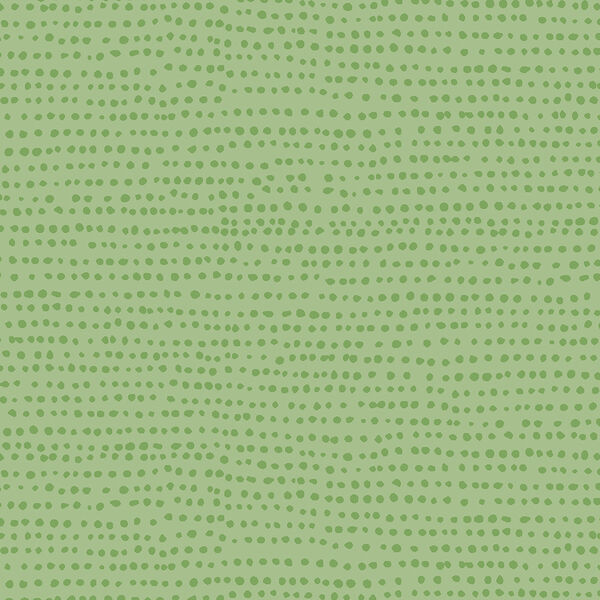 Moonscape in Kiwi
