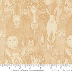 Barnyard Faces in Hay