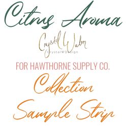 Citrus Aroma Sample Strip