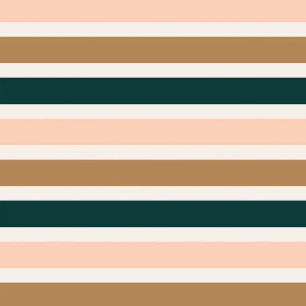 Thick Stripe in Felicity