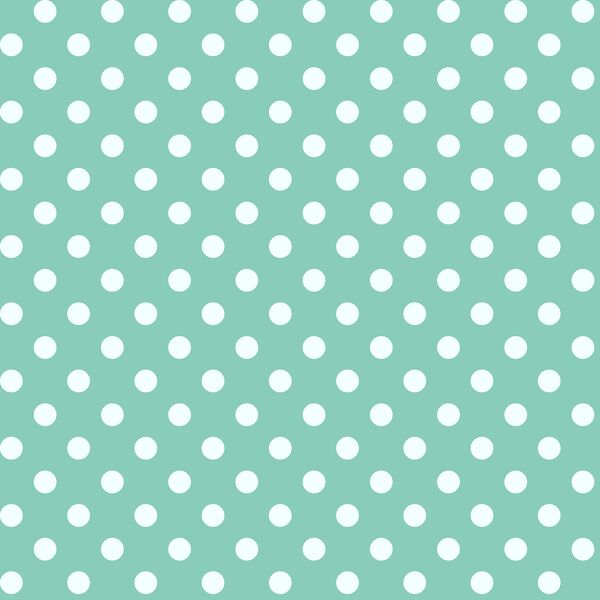Candy Dot in Succulent