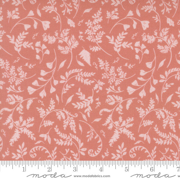 Fern Trails in Rose