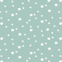 Star Light in Aspen