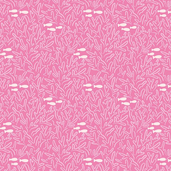 Swimming through Coral in Hibiscus