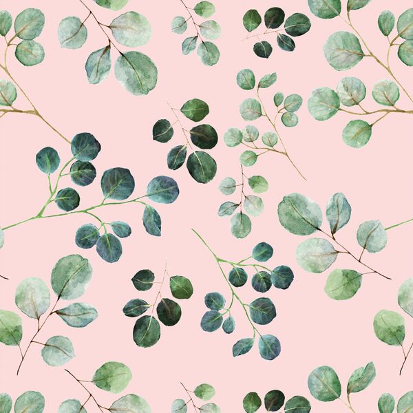 Eucalyptus Leaf in Soft Petal