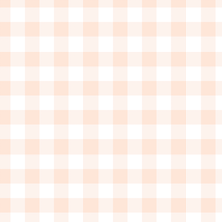 Gingham in Light Pink