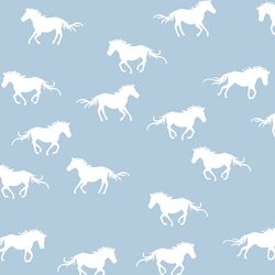 Horse Silhouette in Sky
