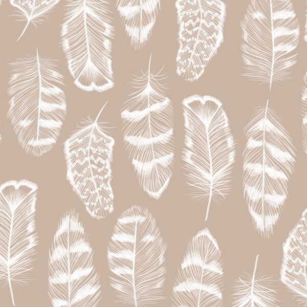 Plume in Sand