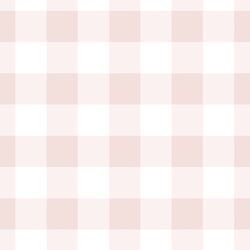 Large Gingham in Blush