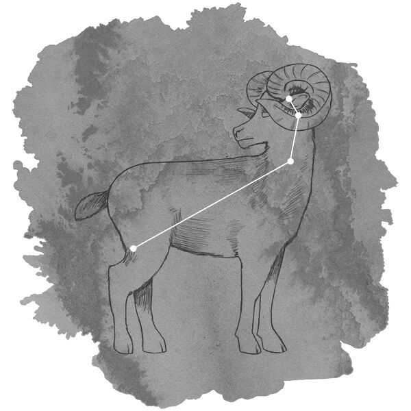 Aries Panel in Charcoal