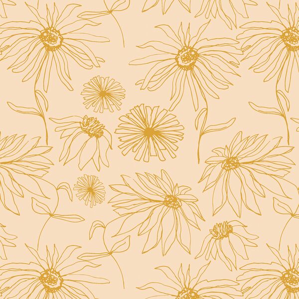 Aster Sketch in Soft Peach