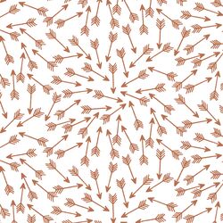 Arrows in Terracotta on White