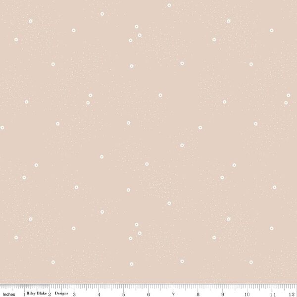Dainty Daisy in Wheat