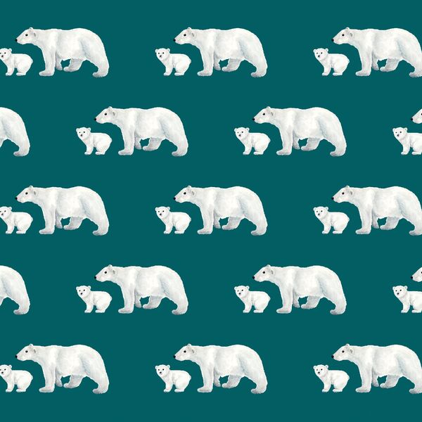 Polar Family in Teal