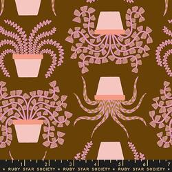 Planties in Brown