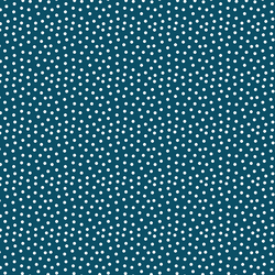 Pindot in Night Sky