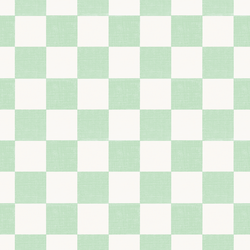 Checkered in Mint Green