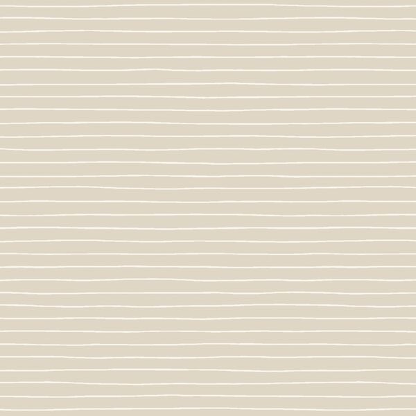 Stripes in Birch Tree