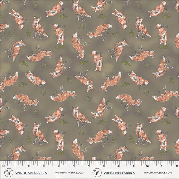 Watchful Fox in Acorn