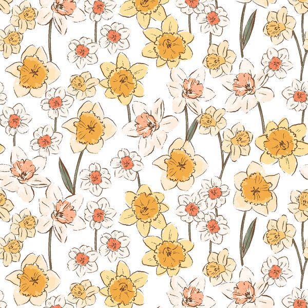 Daffodil Fields in Spring