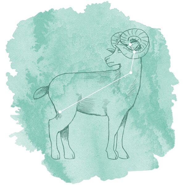 Aries Panel in Succulent