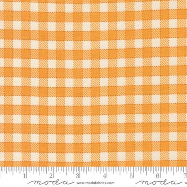 Baby Check in Orange