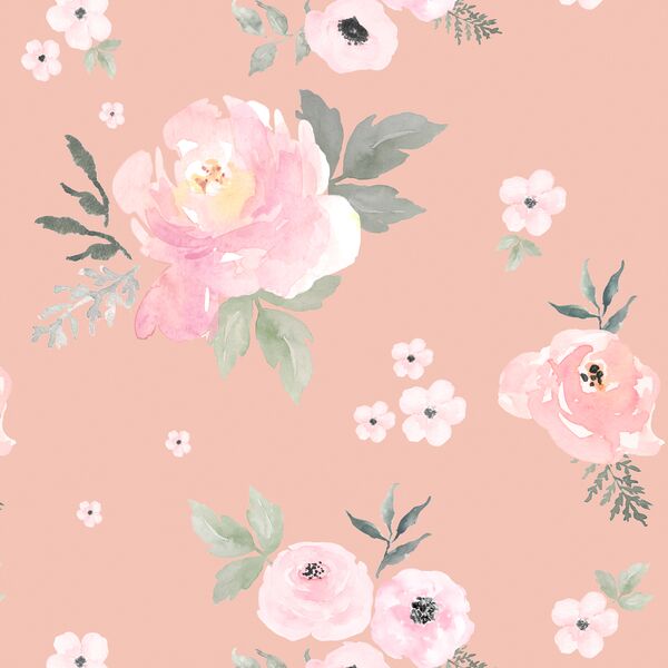 Sweet Blush Roses in Petal