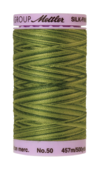 Ferns (9085-9818) - Silk Finish Cotton Multi 50wt - 500 Yards
