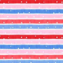 Stars and Stripes in Americana
