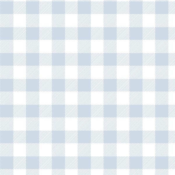 Medium Buffalo Plaid in Cirrus