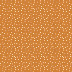 Peach Polka Dots in Golden Sun