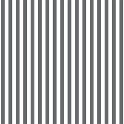Dress Stripe in Charcoal