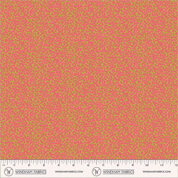 Kimberly in Coral