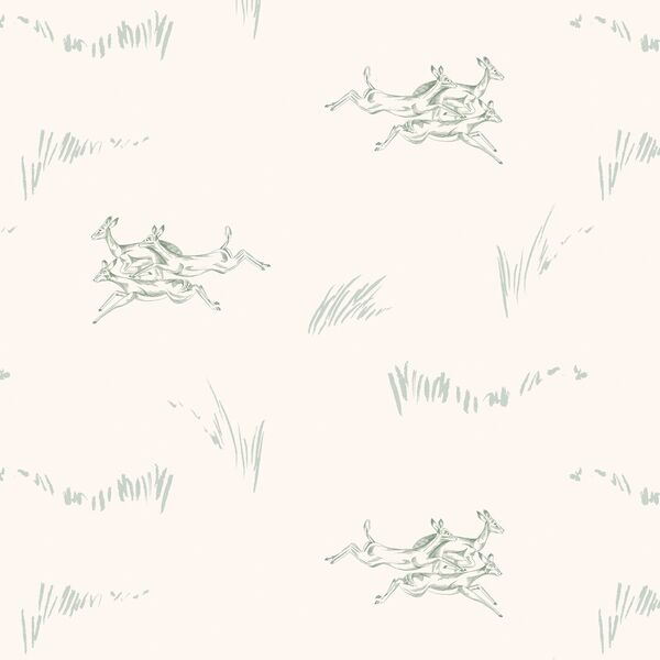 Jumping Impala in Baobob