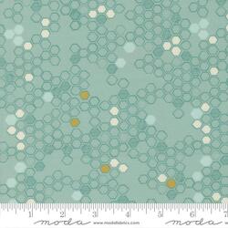 Honeycomb in Stream