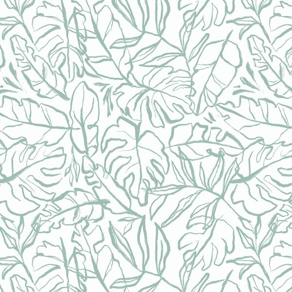 Palm Leaf in Isle on White