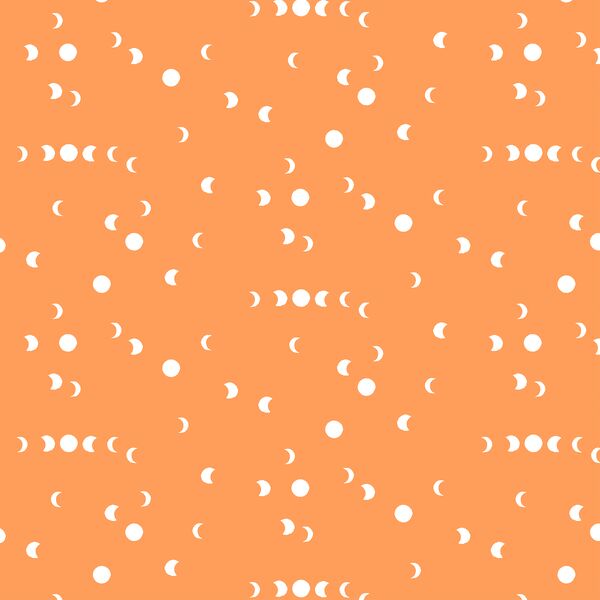 Waning Moon in Pumpkin